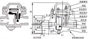 TSF-123雙金屬片式蒸汽疏水閥外形尺寸圖